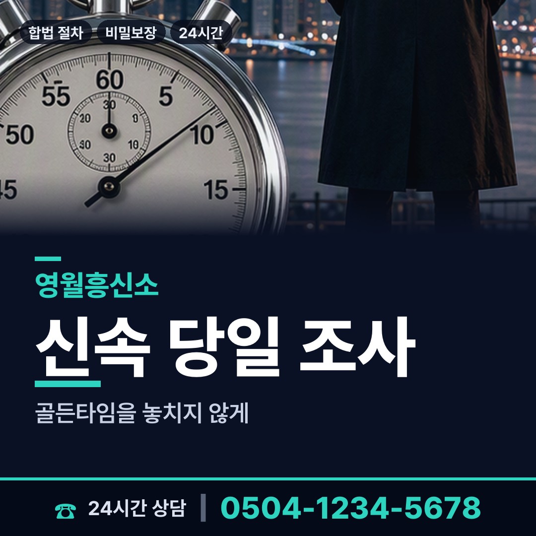 영월 남면 당일조사 상담 안내